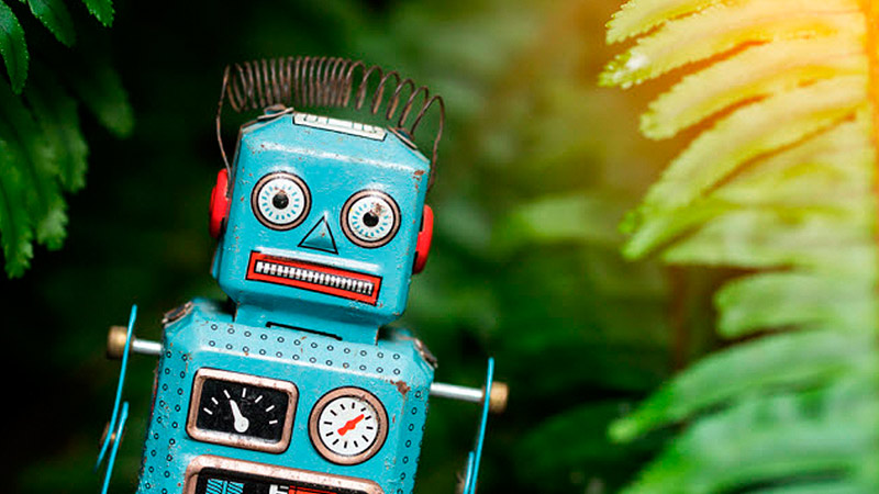 Desarrollan el hygrorobot, el microrobot que imita a las plantas y se mueve con la humedad del ambiente