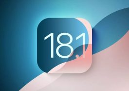 imagen donde se aprecia el número de versión de iOS 18.1