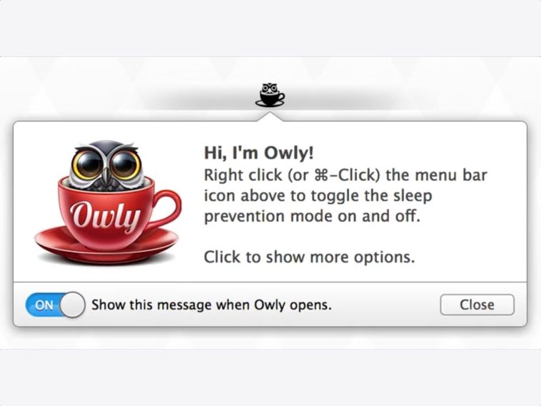 imagen donde se ve el logo de Owly, una app para Mac para hacer que la pantalla no se pare durante un tiempo determinado